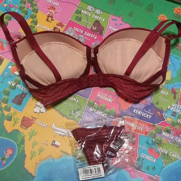 Fredrick's of Hollywood Burgundy Leopard Bra & Panty Set 32D & (S) - Picture 5 of 16